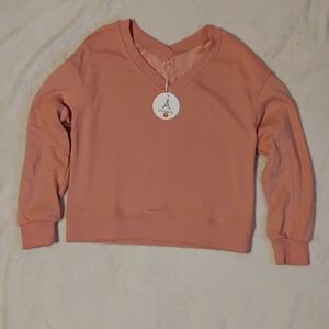 Amuse Society V-Neck Sweater in Blush NWT